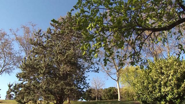 Doctora advierte de que las alergias se prolongan debido al cambio climático