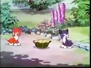 Silly Symphony More Kittens