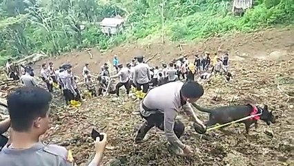 استمرار البحث عن مفقودين اثنين بعد انزلاق تربة في إندونيسيا