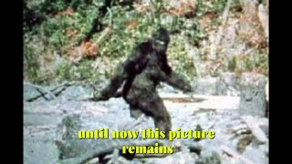 Do you know the legend of Bigfoot #bigfoot #photos #views #usa #story #animals #mystery