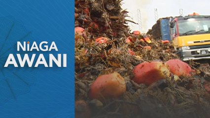 Stok minyak sawit Malaysia susut lebih 10 peratus pada Mac 2024, kekal di bawah 2 juta tan