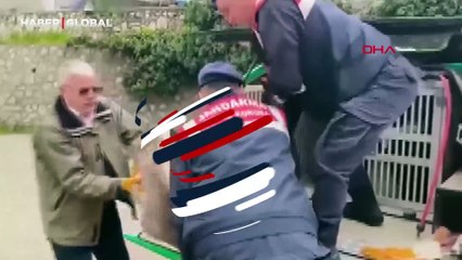 Jandarmaların yaralı halde bulduğu karaca tedavi edildi