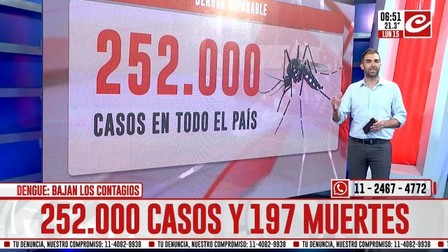 Alerta dengue: ya son 252 mil los casos y hay 197 muertes confirmadas