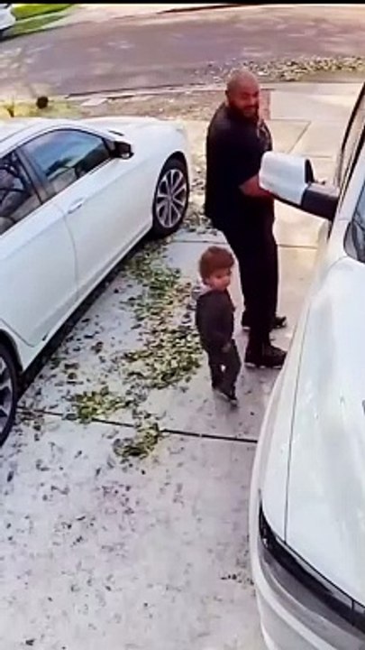 Majestic funny fails