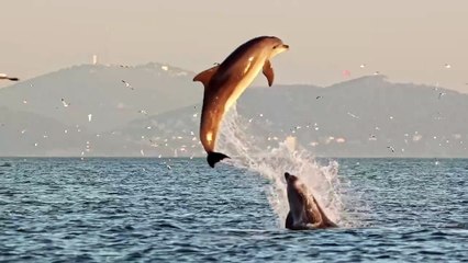 İmamoğlu'nun paylaşımına bakın hangi parti başkanı yanıt verdi