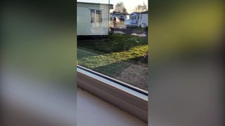 Video shows couple's holiday caravan