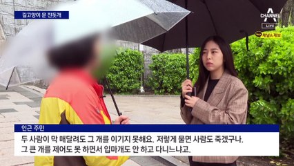 길고양이 공격한 진돗개…“입마개 해야”