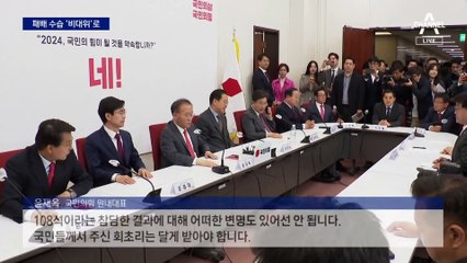 국민의힘, 네 번째 비대위 체제로