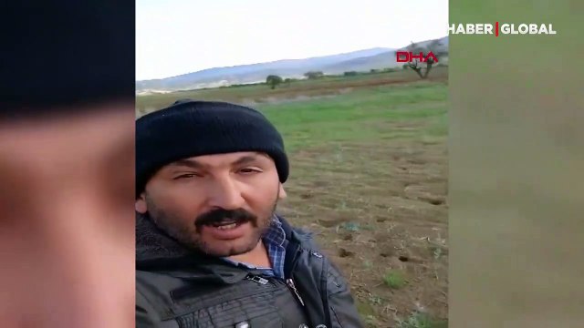 Tarlayı fareler bastı, Ispartalı çiftçi böyle isyan etti: Yanıyorum