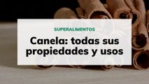 Canela: todas sus propiedades y usos