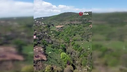 Tekirdağ'da mest eden manzara! Pelikanların göçü böyle görüntülendi