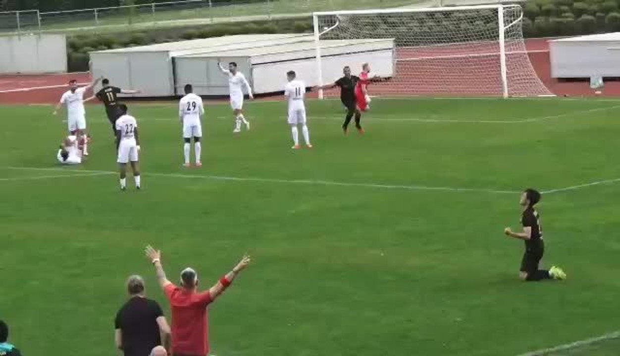 Le second but des Merles