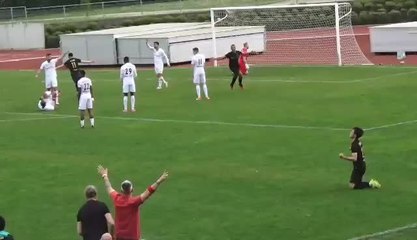 Le second but des Merles