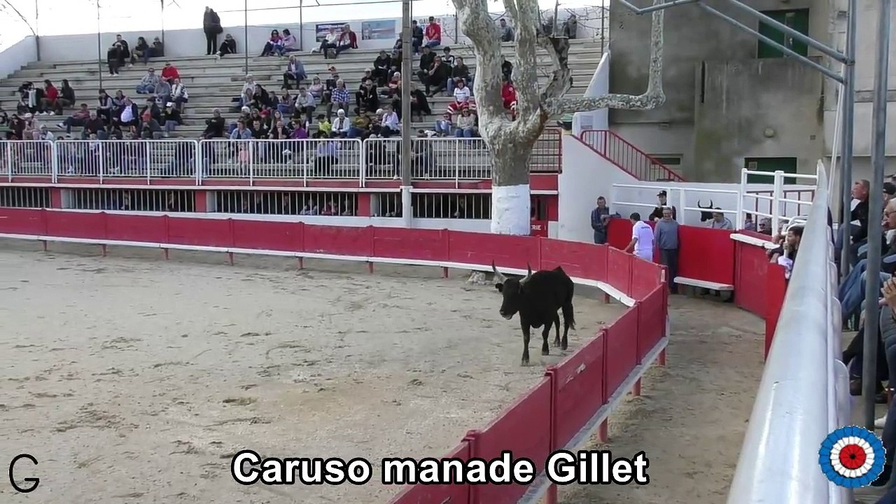 2024 04 01 Caruso