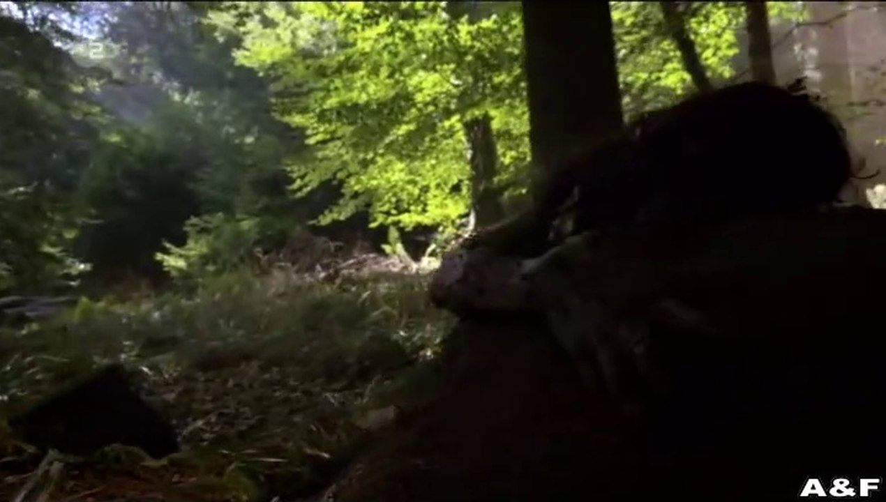 In Wahrheit -01- Mord am Engelsgraben