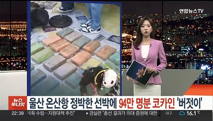 [포인트뉴스] "종합격투기 배워라"…'막무가내' MZ조폭 무더기 검거 外