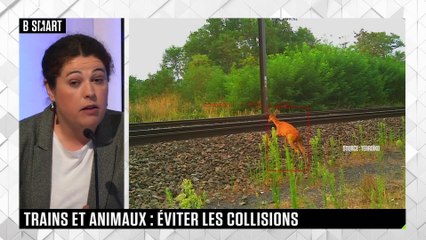 SMART IMPACT - Trains et animaux : éviter les collisions