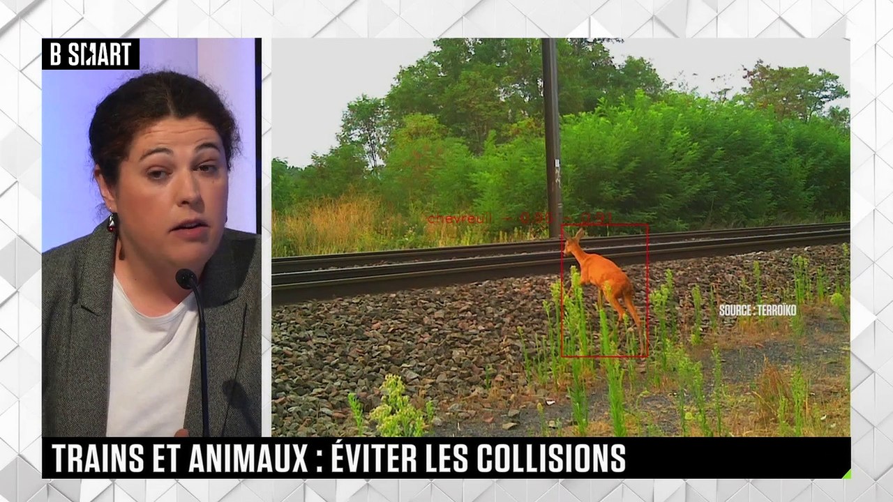 SMART IMPACT - Trains et animaux : éviter les collisions