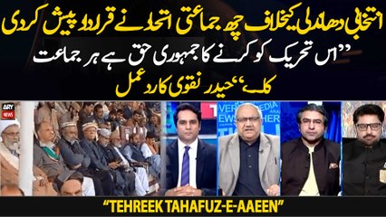 "Every party has a democratic right to do this movement," Haider Naqvi on Tehreek Tahafuz-e-Aaeen