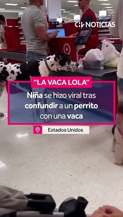 ¡UNA TERNURA!   Una niña se hizo viral en las redes sociales tras protagonizar un tierno momento con un perrito.   Como se puede ver en el video, la pequeña a ver al can, comienza a cantar “La Vaca Lola”, debid