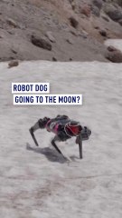 Robot dog going to the Moon?