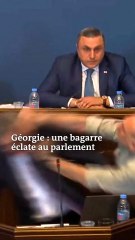 En Géorgie, une bagarre au Parlement pendant la discussion sur les « agents de l’étranger »