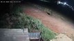 Vídeo mostra ladrão fugindo com cabos furtados em empresa de recicláveis às margens da BR-277