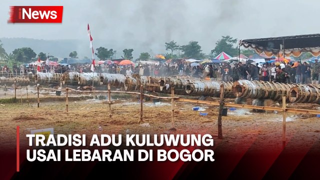 Keseruan Tradisi Adu Kuwung saat Warga 2 Kampung di Bogor Berbalas Tembakan Meriam Raksasa