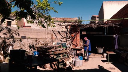 Taxidermia Medina, la familia toledana que lleva 70 años eternizando animales