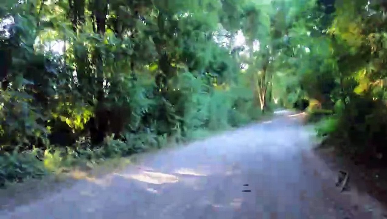 Karl-Bekehrty-Straße - MTB Schottenhof-Strecke Wien (Teil 4)