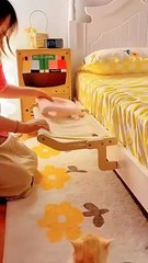 [Видео]_«[Видео]_«Cat_Window_Perch_Hammock_Hanging_Bed_for_Pet»»_в_2024 г_|_Питомец,_Котята,_Милые_котики