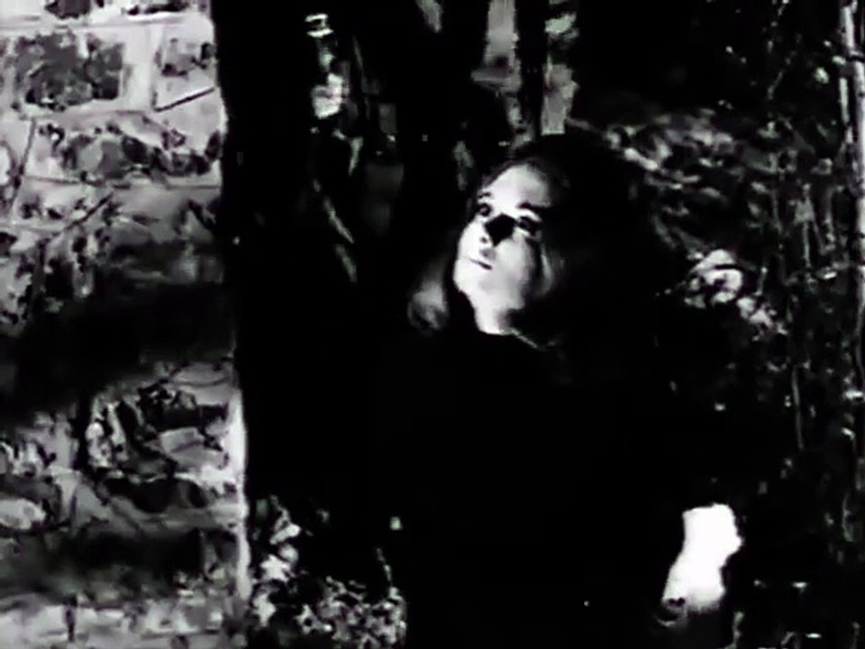 Aşk ve Kin 1964
