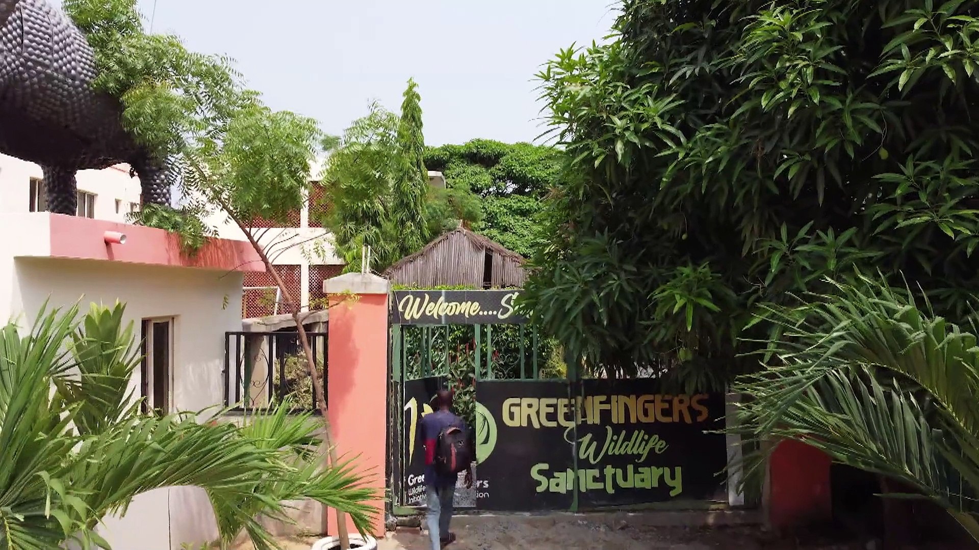 ⁣Watch: The Nigerian hero creating a safe haven for animals