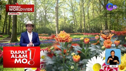 Kauna-unahang amphibian, pinaniniwalaan na kayang mag-pollinate?! | Dapat Alam Mo!