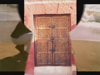 Inno del Movimento Nazionale del delfino