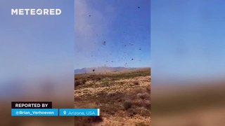 Powerful dust devil engulfs several people in Arizona, USA