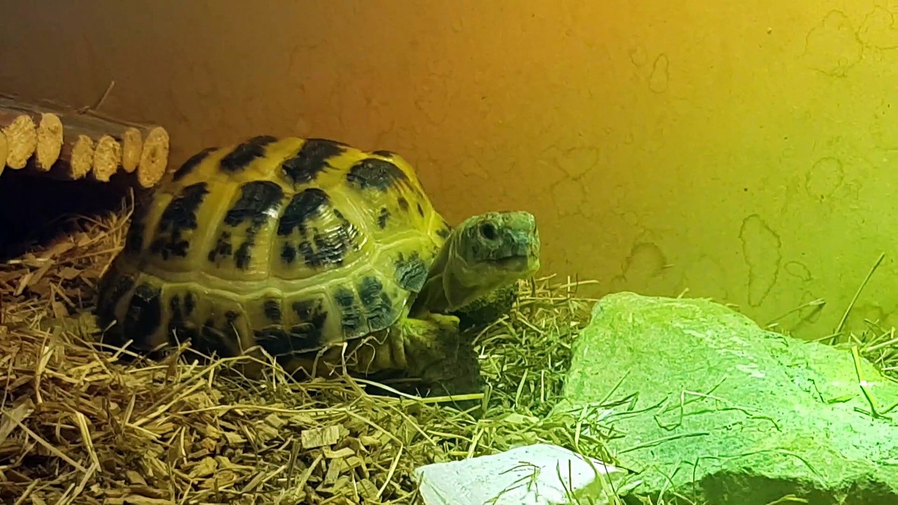 You ain't seen me, right?