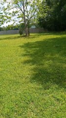 I'm going to get up and go to the dentist in the morning