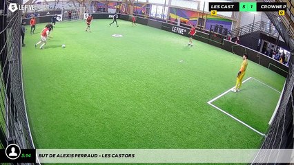 But de Alexis PERRAUD - LES CASTORS