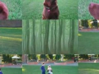 Amazing Mosaic Screensaver For Mac OSX