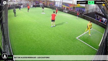 But de Alexis PERRAUD - LES CASTORS