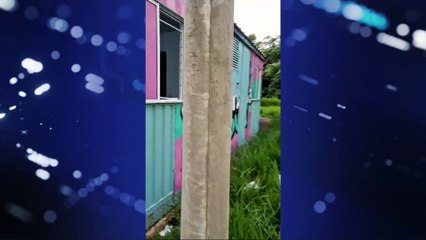 Consultório veterinário móvel é alvo de furto e vandalismo pela segunda vez em 20 dias