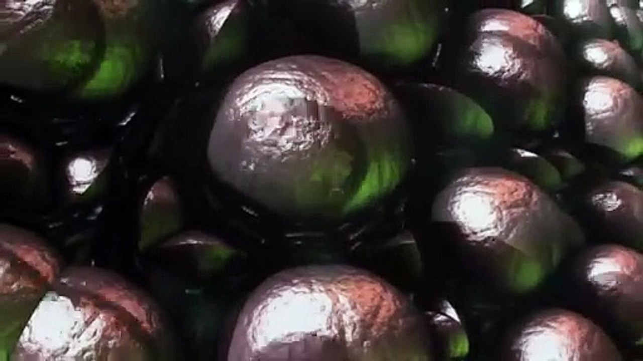 tvKUNST - Katya Sander - Dit liv som billede |2016| DR