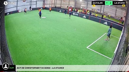 But de Christopher TAVARES - La stance