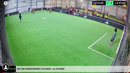 But de Christopher TAVARES - La stance