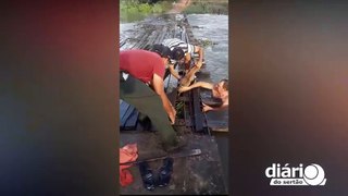 Moradores salvam cachorro preso em ponte após forte cheia no Rio Piranhas, em Cajazeiras