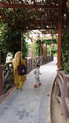 Walking in the streets #viral #trending #foryou #reels #beautiful #love #funny #delicious #fun #love #yummy