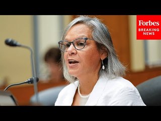 Robin Kelly Raises Alarm On 'An Incentive For Social Media Companies Not To Act' On Harmful Content