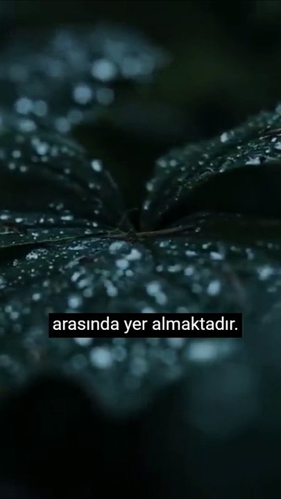 Niximera Yazılım -  İşletmeler için yazılım geliştirme hizmetleri