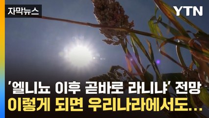 [자막뉴스] '엘니뇨 이후 곧바로 라니냐' 전망, 이렇게 되면 우리나라에서도... / YTN